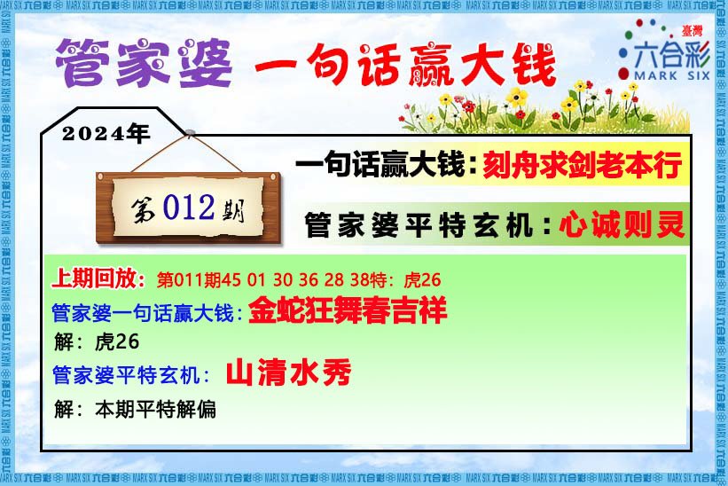 关于管家婆白小姐四肖四码,全面释义解释与落实展望