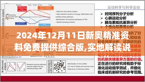 2025正版资料免费大全;全面释义、解释与落实